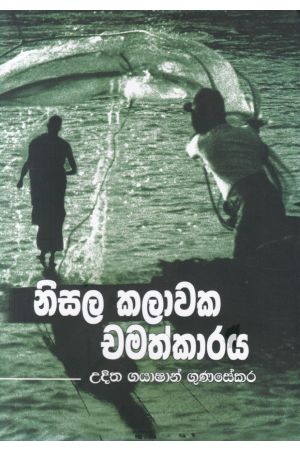 නිසල කලාවක චමත්කාරය