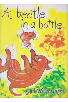 A beetle in a Bottle