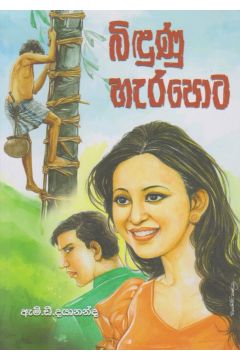 බිඳුණු හැරපොට