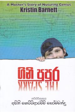ගිනි පුපුර