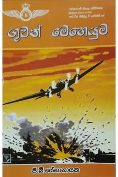 ගුවන් මෙහෙයුම