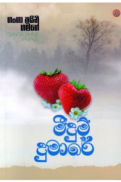 මීදුම් දුමාරේ