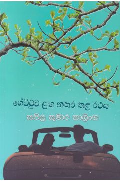 ගේට්ටුව ළඟ නතර කළ රථය