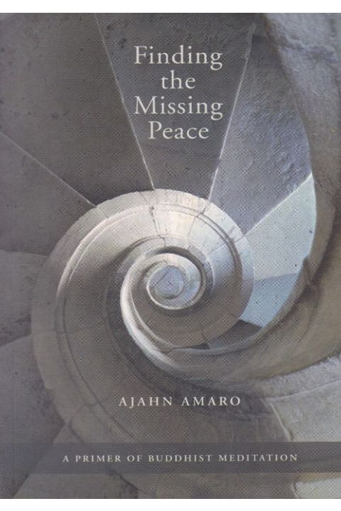 Finding the Missing Peace