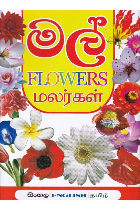 මගේ පිංතූර ශබ්දකෝෂය පලතුරු