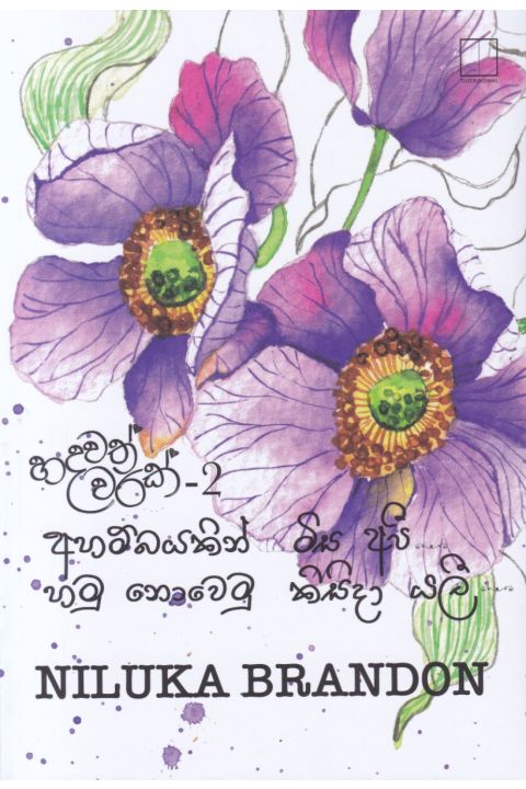 අහම්බයකින් මිස අපි හමු නොවෙමු කිසිදා යලී