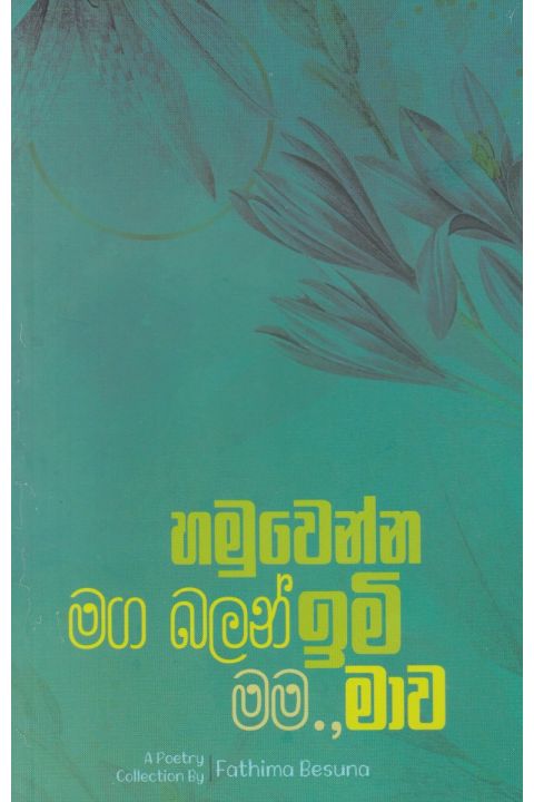 හමුවෙන්න මග බලන් ඉමි මම මාව