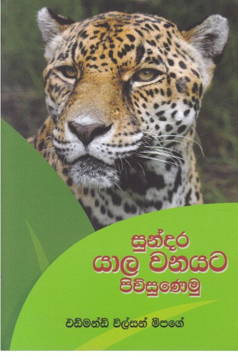 සුන්දර යාල වනයට පිවිසුණෙමු