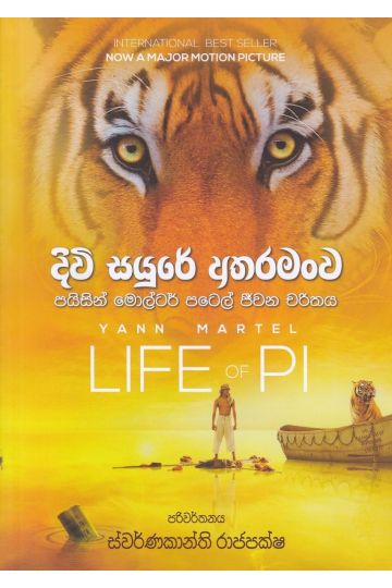 දිවි සයුරේ අතරමංව