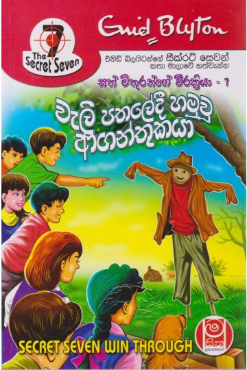 වැලි පතලේදී හමුවූ ආගන්තුකයා - සත් මිතුරන්ගේ වීරක්‍රියා 07