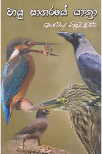 වායු සාගරයේ යාත්‍රා