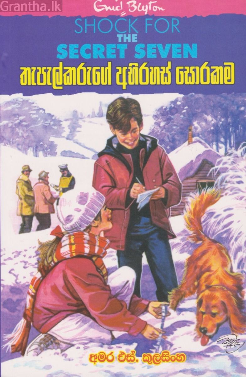 තැපැල්කරුගේ අභිරහස් සොරකම 