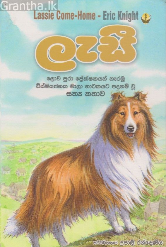 ලැසී 