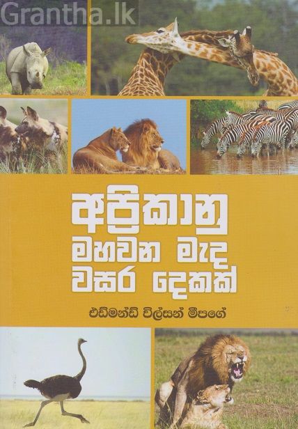 අප්‍රිකානු මහවන මැද වසර දෙකක්