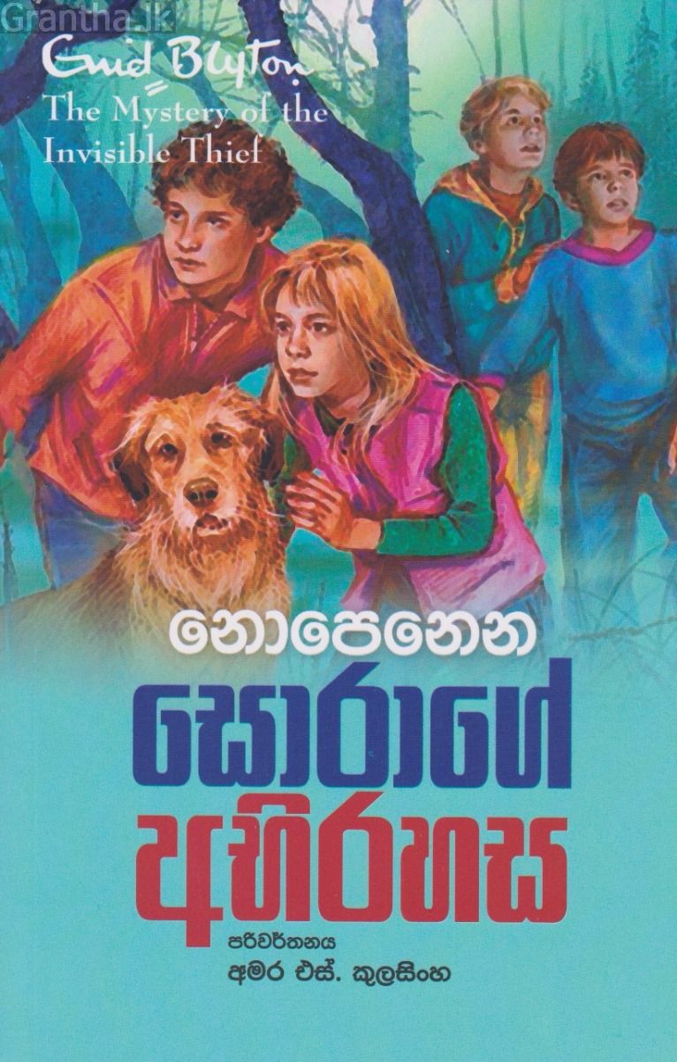 නොපෙනෙන සොරාගේ අභිරහස