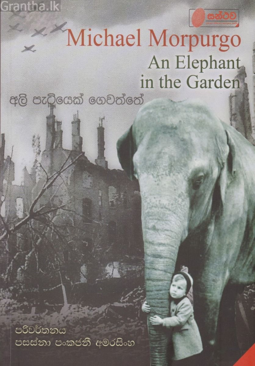 අලි පැටියෙක් ගෙවත්තේ 