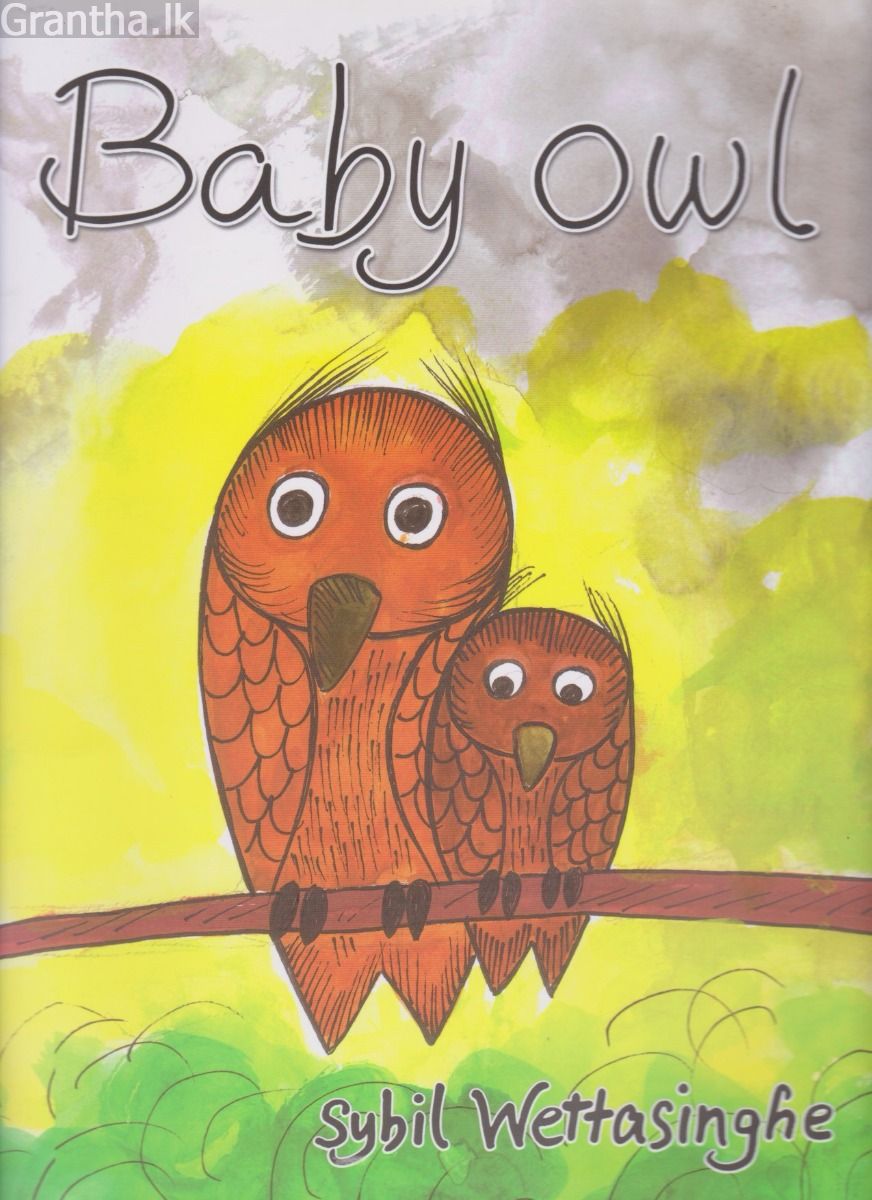 Baby Owl