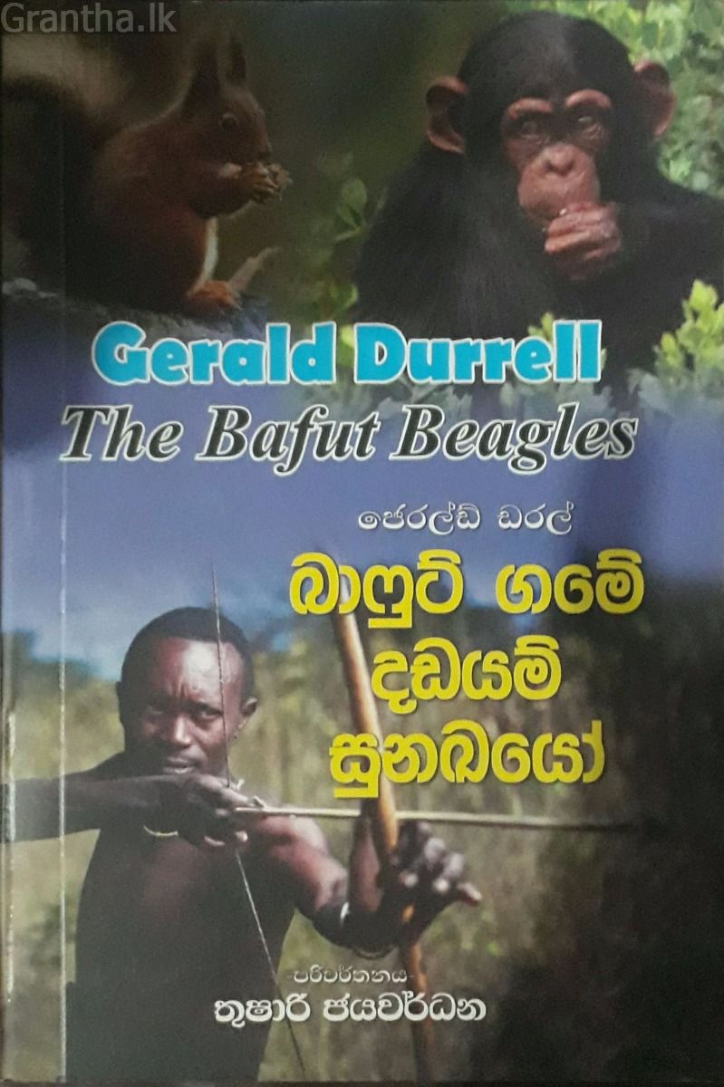 බාෆුට් ගමේ දඩයම් සුනඛයෝ