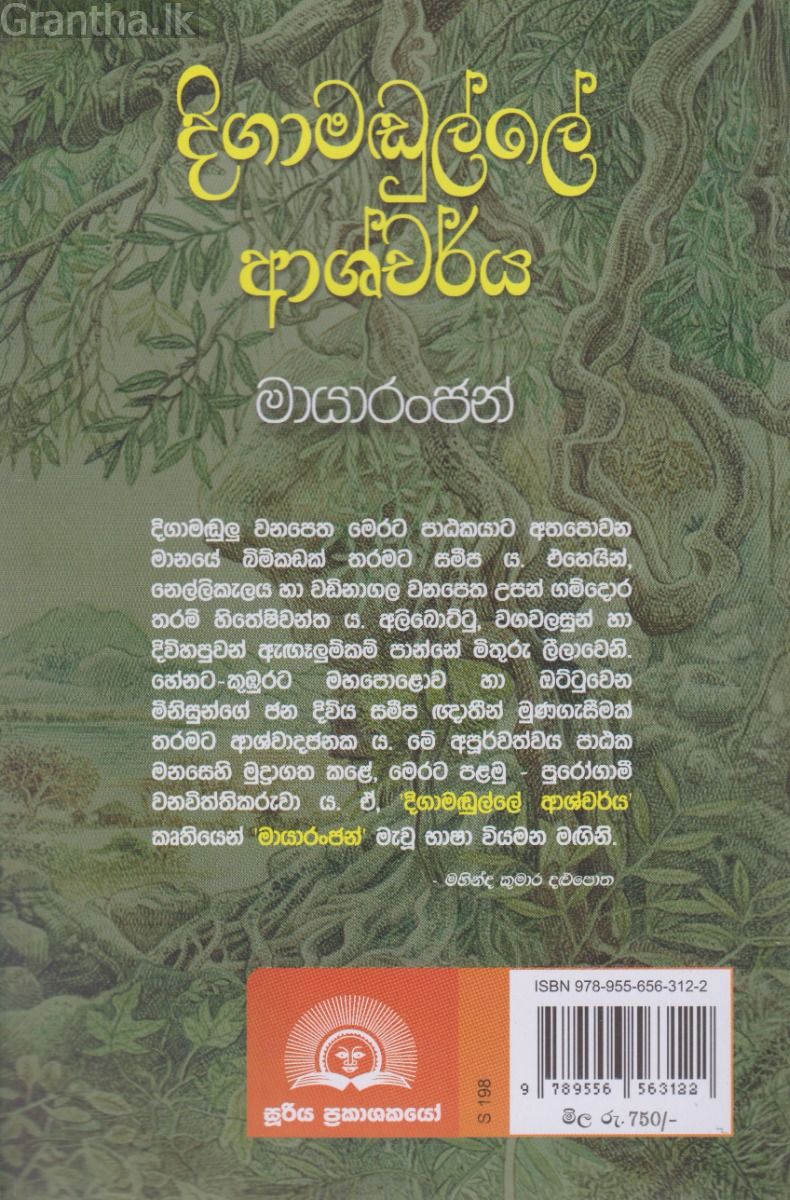දිගාමඬුල්ලේ ආශ්චර්ය