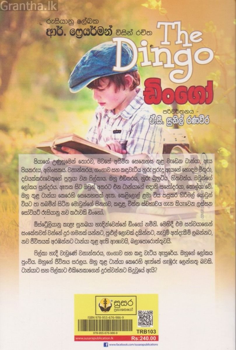 ඩිංගෝ 