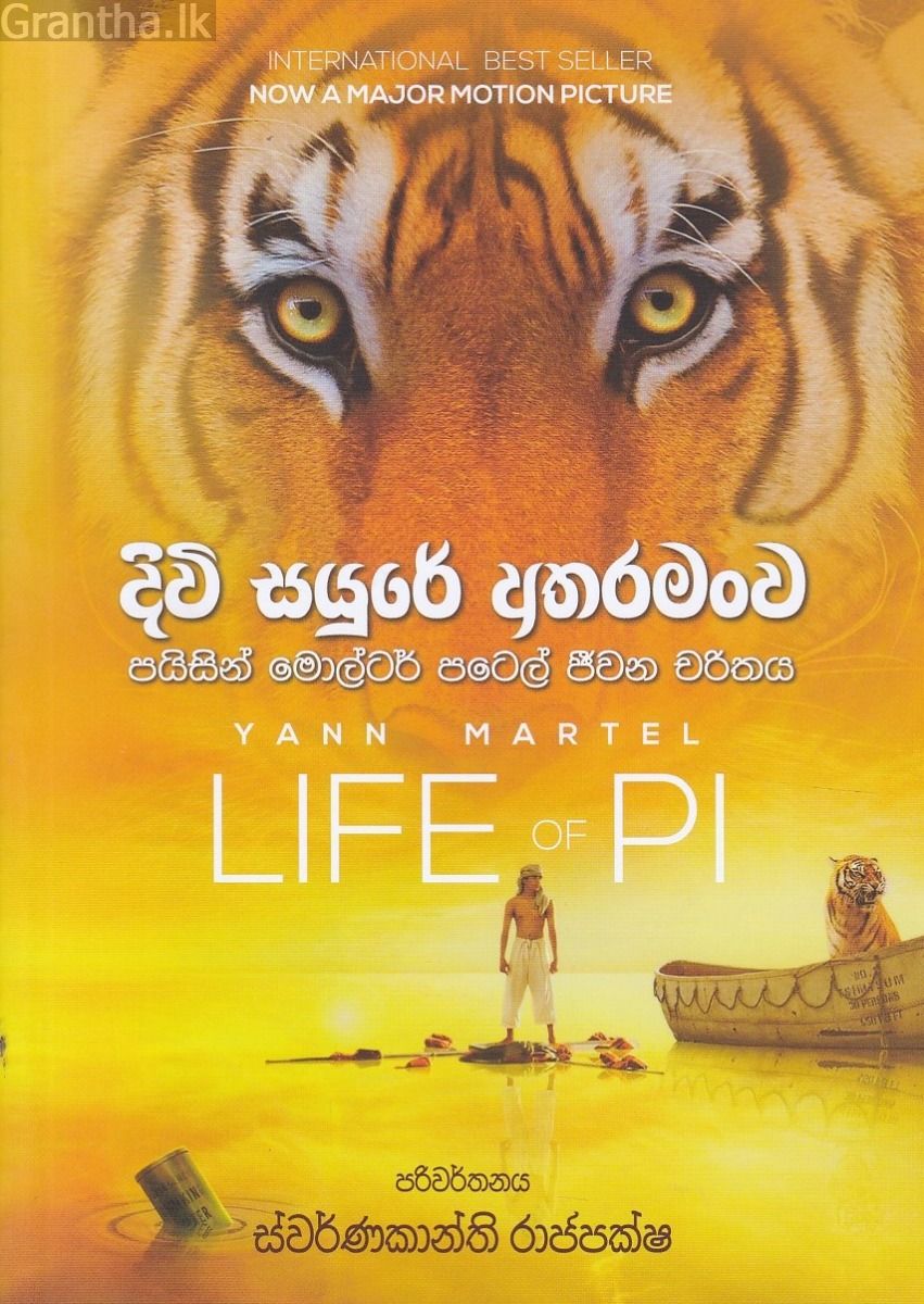 දිවි සයුරේ අතරමංව