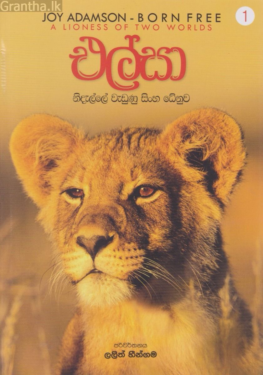 එල්සා