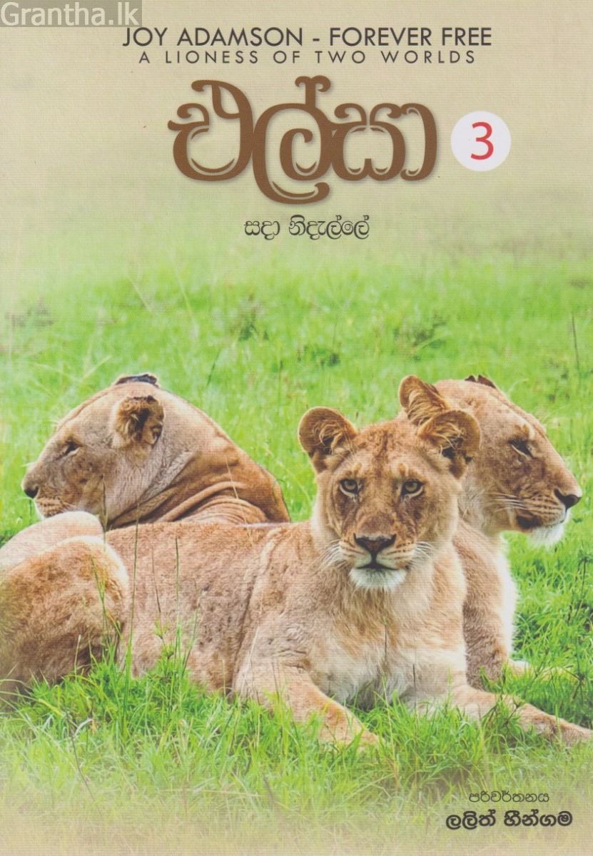 එල්සා 3 - සදා නිදැල්ලේ