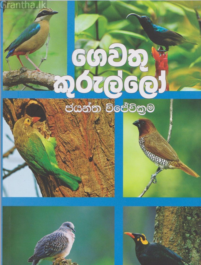 ගෙවතු කුරුල්ලෝ 