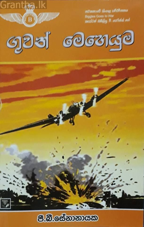 ගුවන් මෙහෙයුම