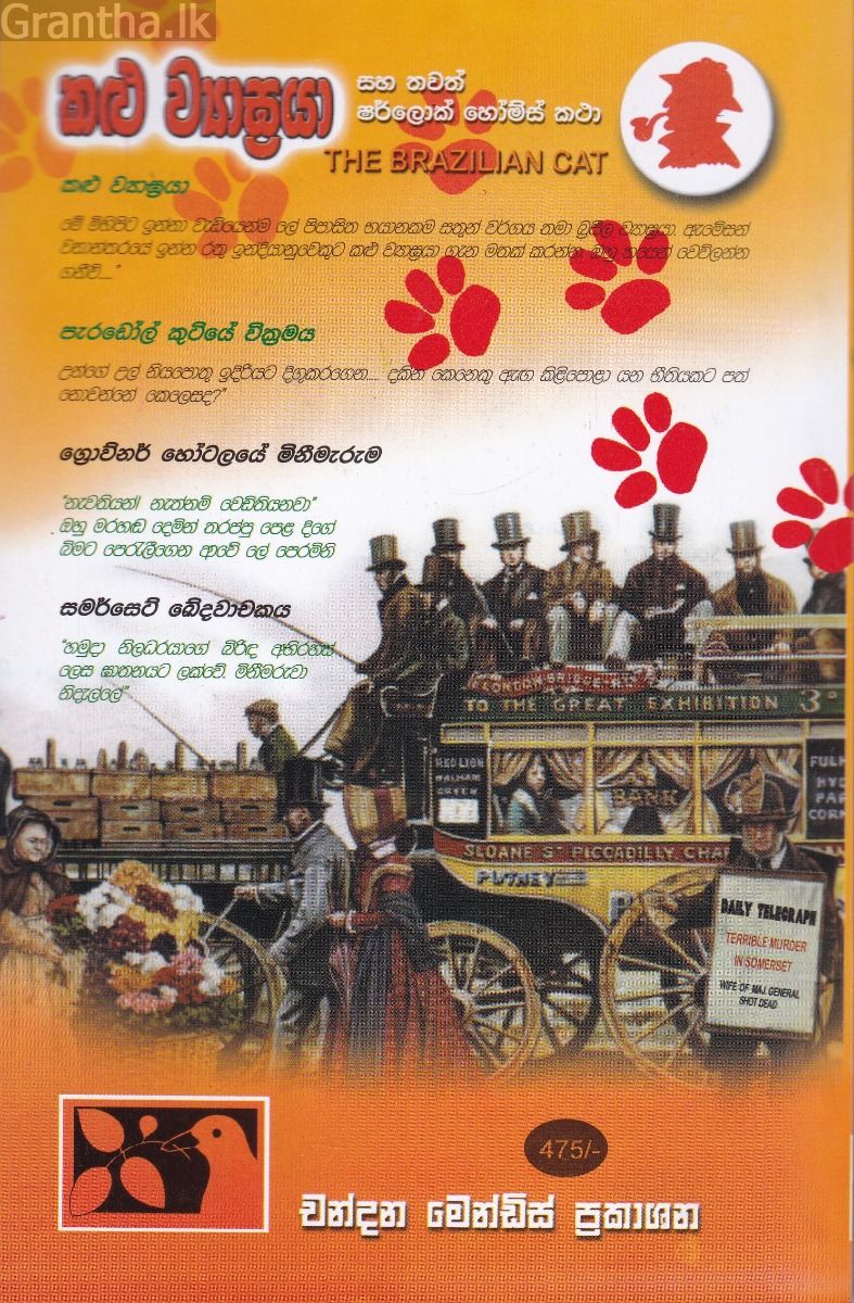 කළු ව්‍යාඝ්‍රයා