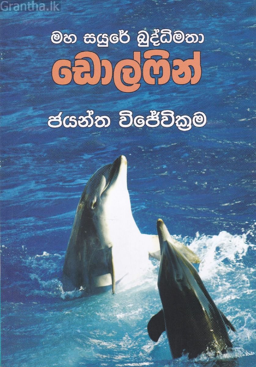 මහ සයුරේ බුද්ධිමතා - ඩොල්ෆින්