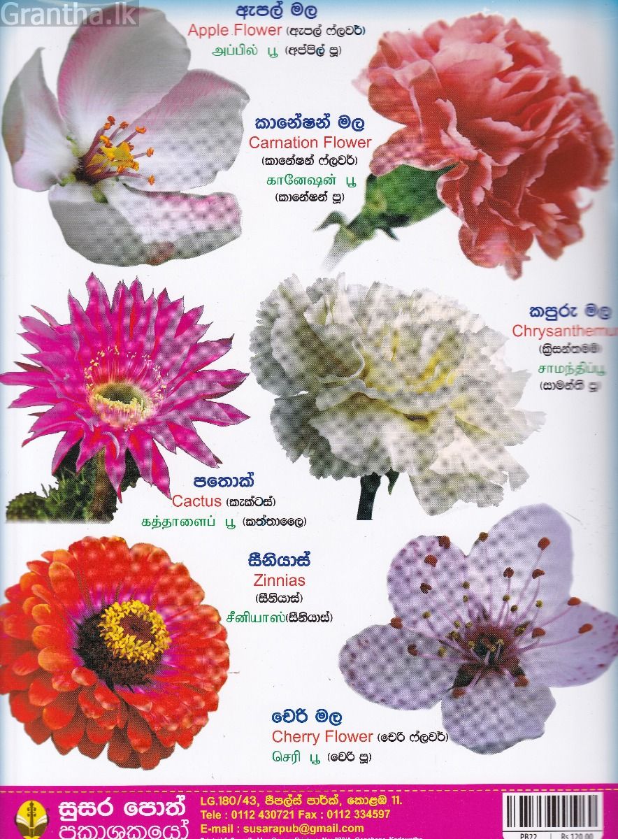 මගේ පිංතූර ශබ්දකෝෂය - මල්