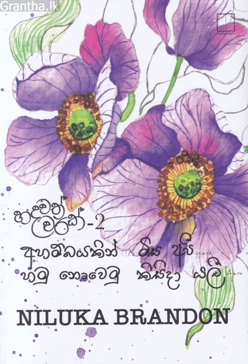 අහම්බයකින් මිස අපි... හමු නොවෙමු කිසිදා යලී...