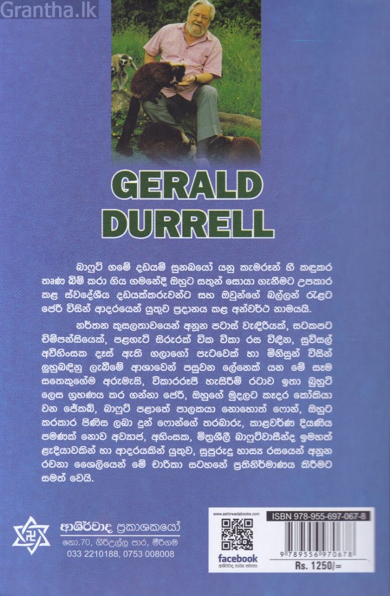 බාෆුට් ගමේ දඩයම් සුනඛයෝ