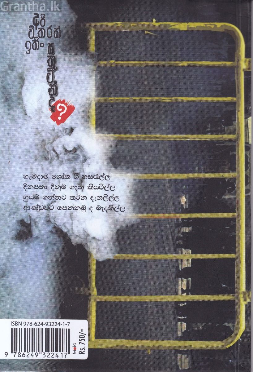 අපි විතරක් ඉතිං සතුටින් ද?