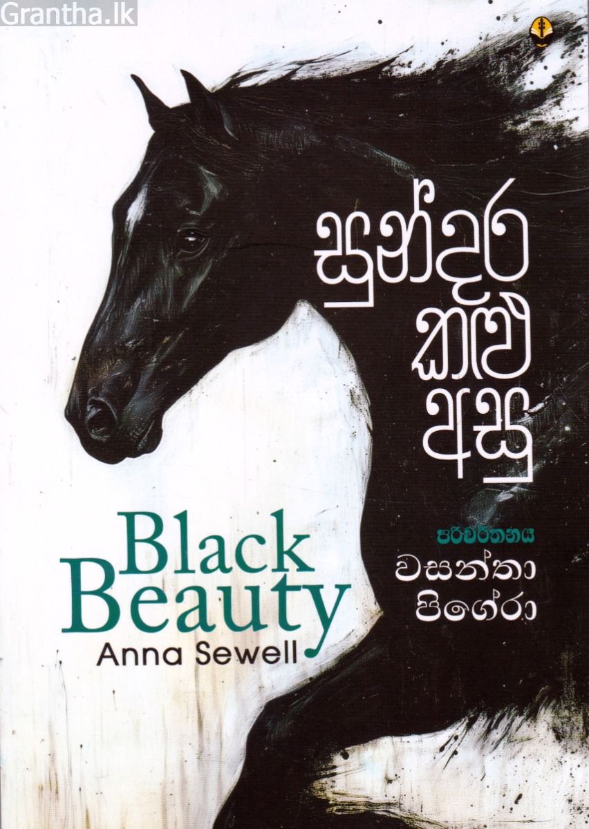 සුන්දර කළු අසු