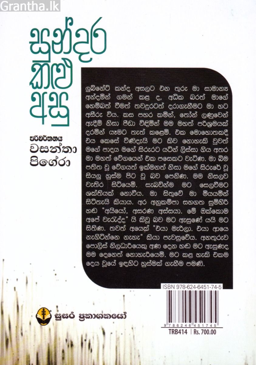 සුන්දර කළු අසු