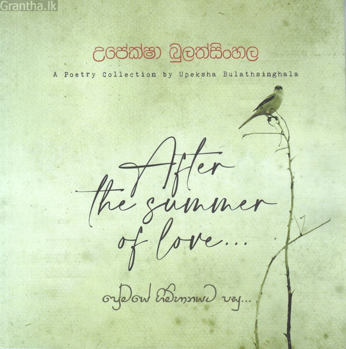 After the Summer of Love... - ප්‍රේමයේ ගිම්හානයට පසු...