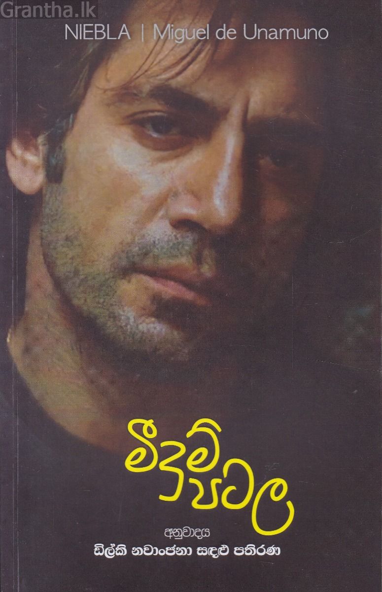 මීදුම් පටල