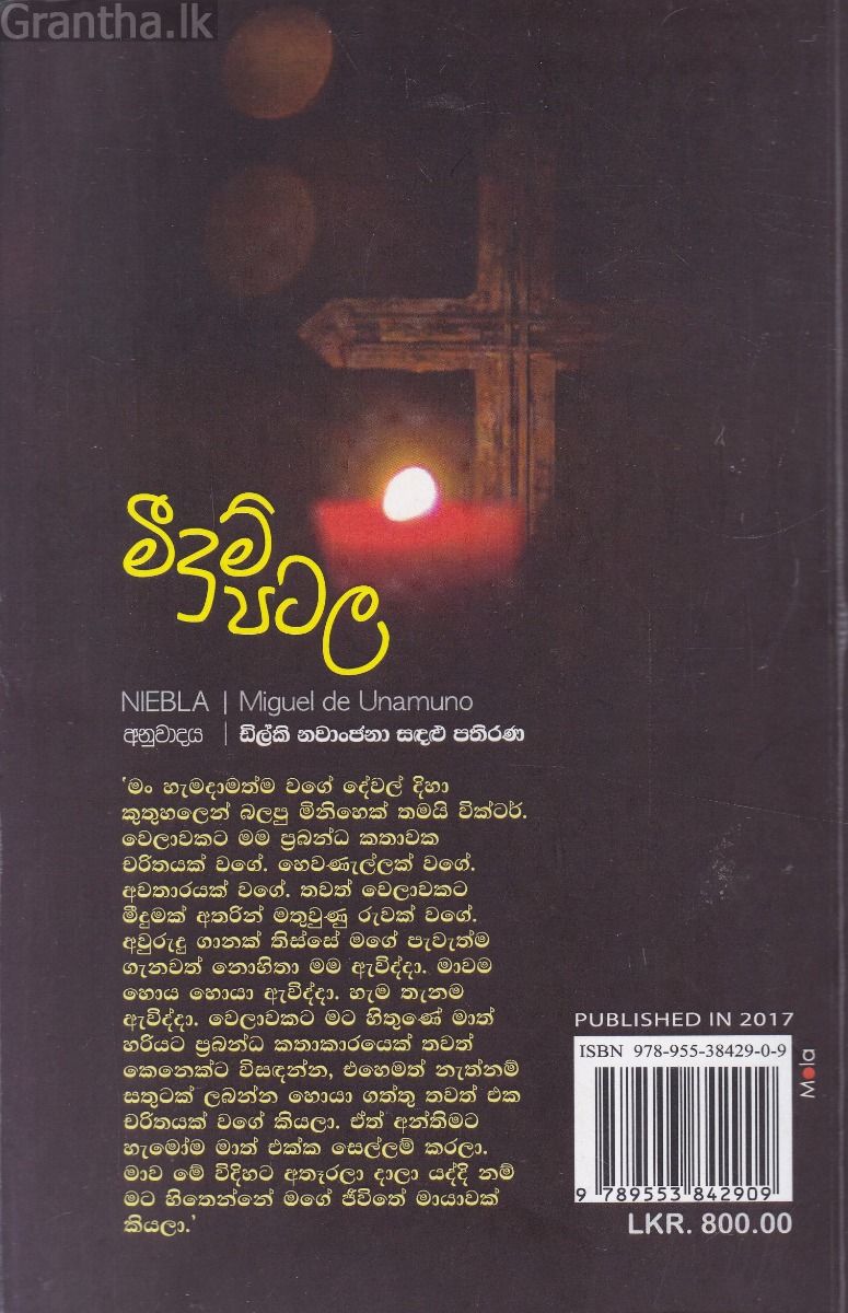 මීදුම් පටල