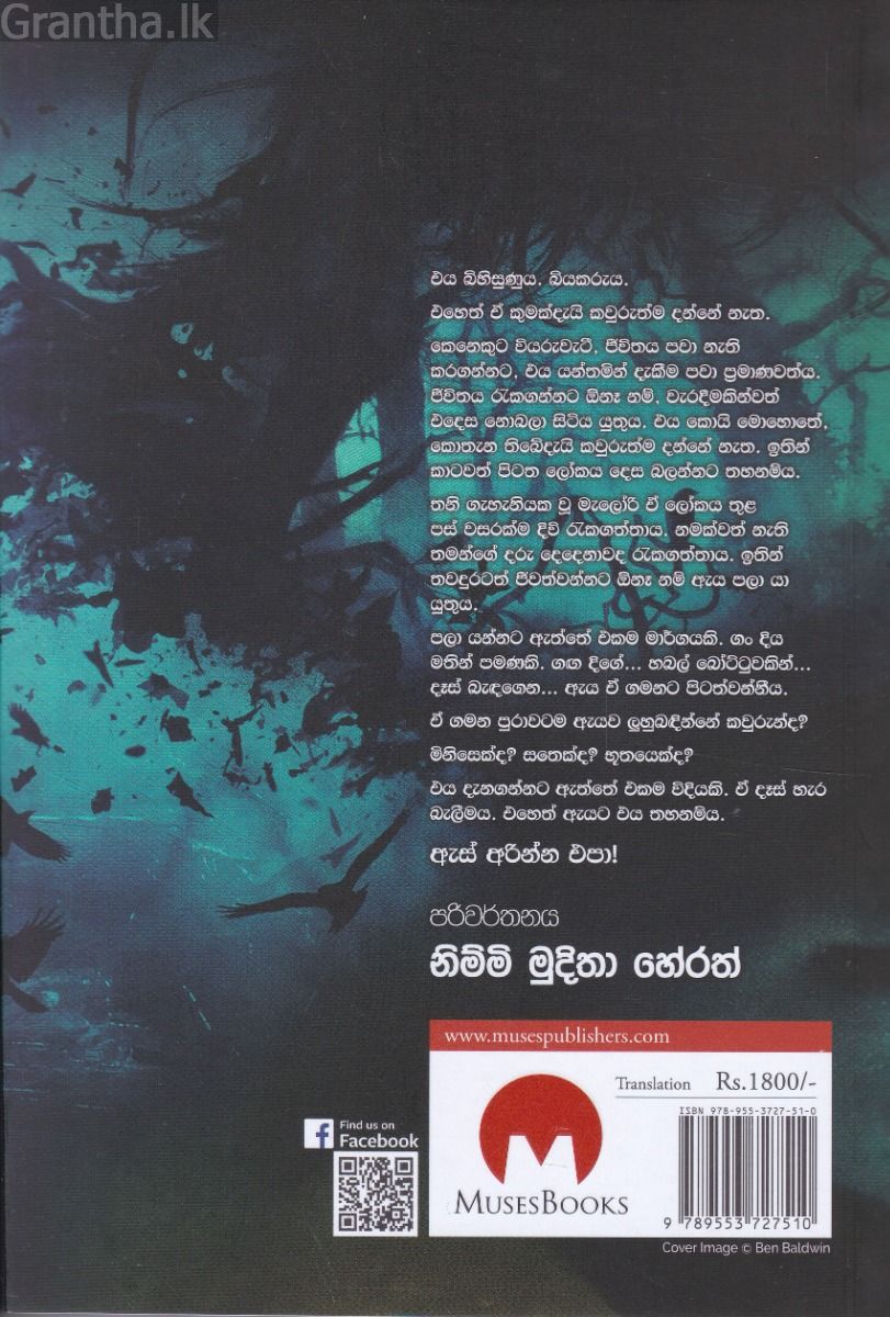 බර්ඩ් BOX