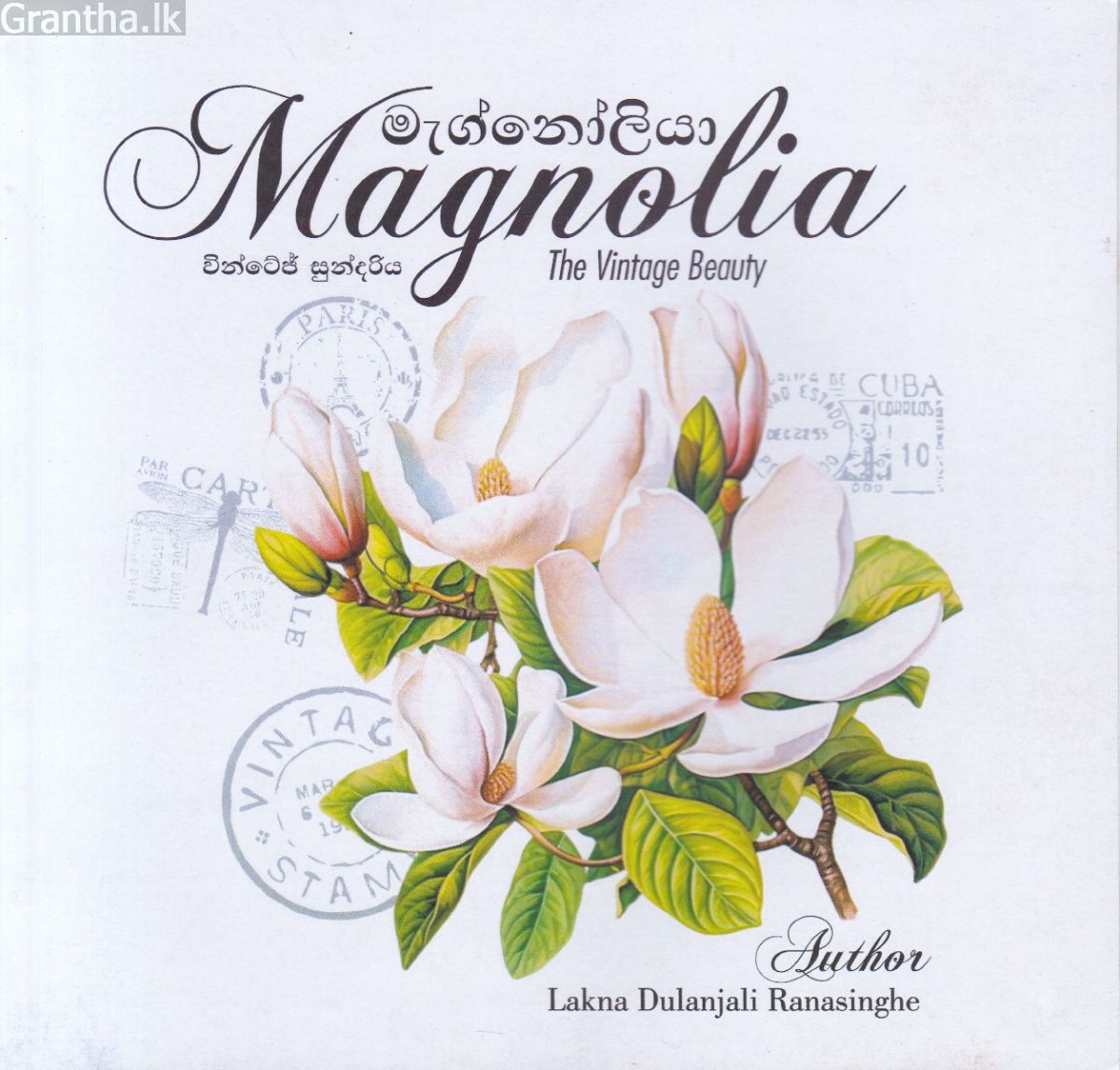 Magnolia වින්ටේජ් සුන්දරිය
