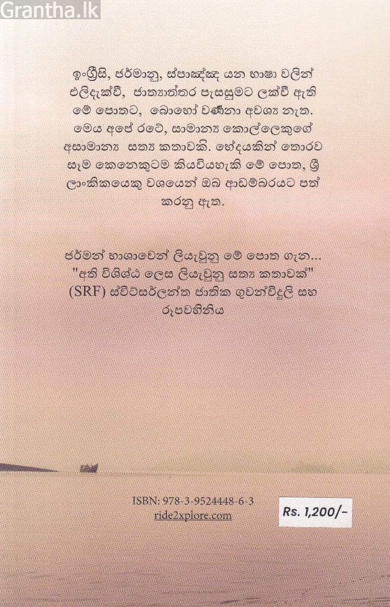 බ්‍රිජට්ගේ දිරිය