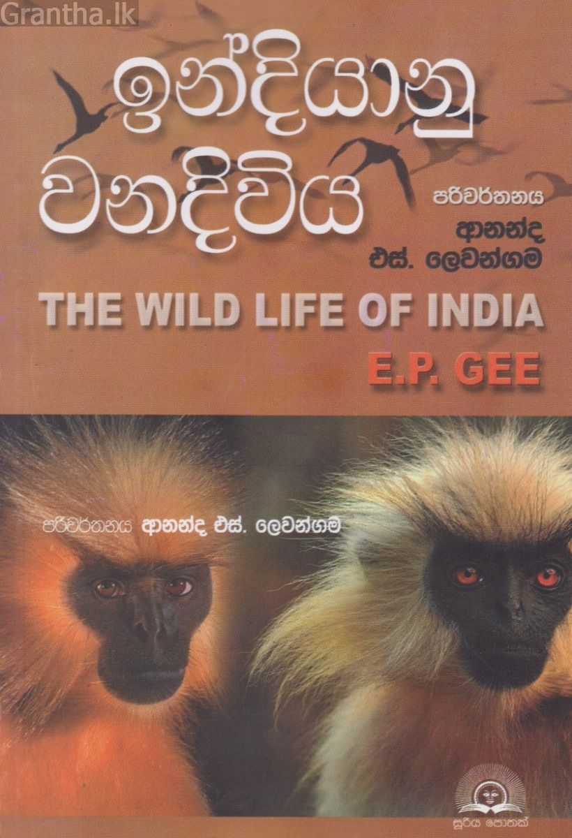 ඉන්දියානු වනදිවිය