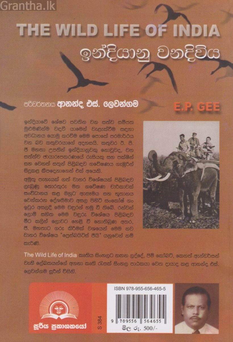 ඉන්දියානු වනදිවිය