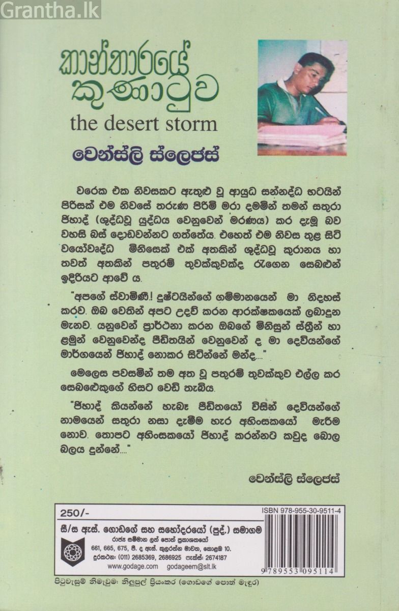 කාන්තාරයේ කුණාටුව