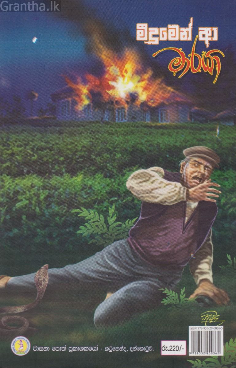 මීදුමෙන් ආ මාරයා
