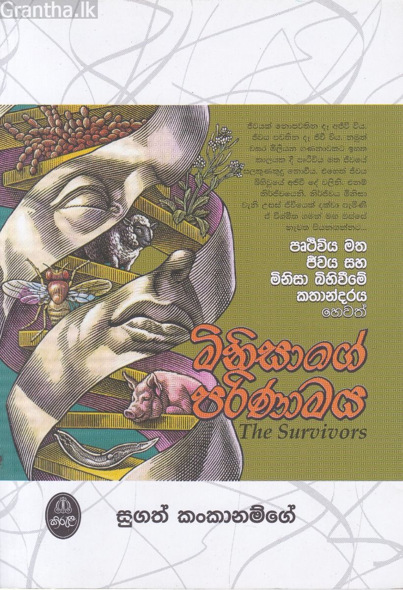 මිනිසාගේ පරිණාමය