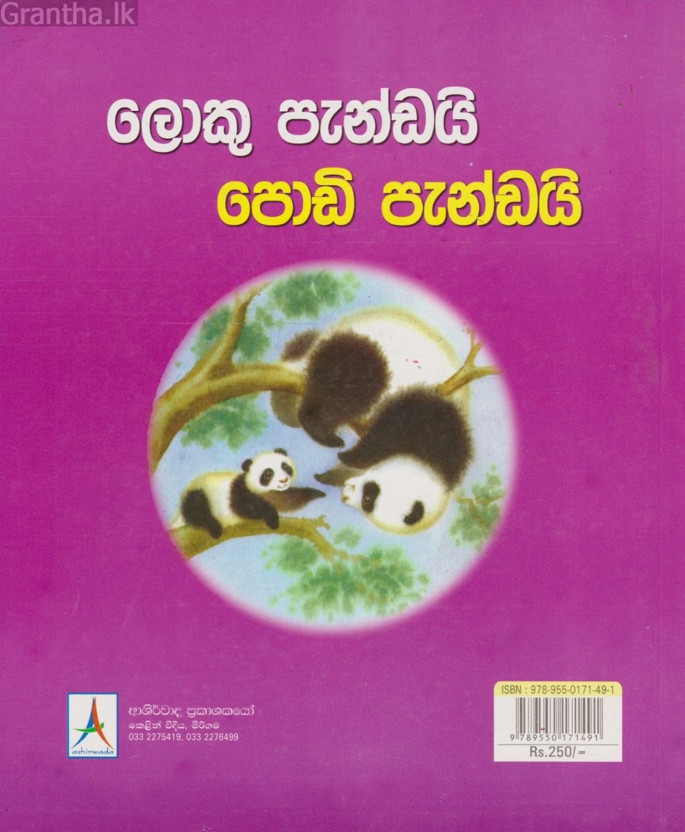 ලොකු පැන්ඩයි පොඩි පැන්ඩයි