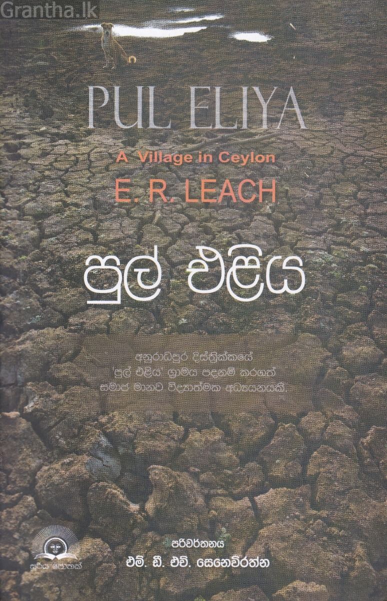 පුල් එළිය